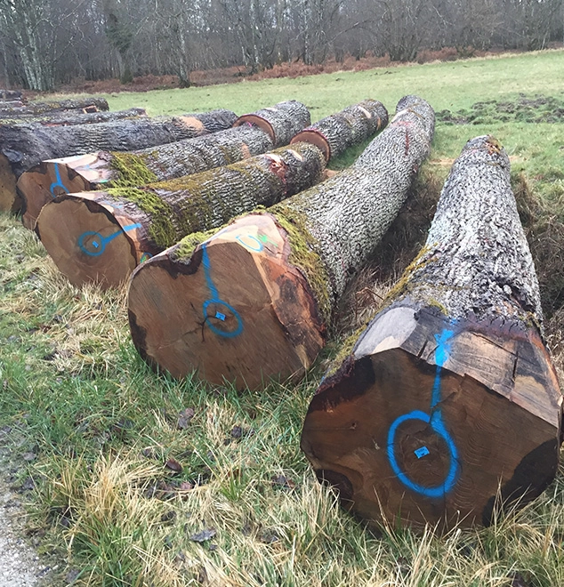 Exploitation forestière Saint-Seurin-sur-l'Isle, Exploitation forestière Gironde, Exploitation forestière 33